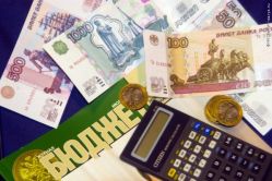 В России скоро появится сайт, позволящий взять бюджет под контроль